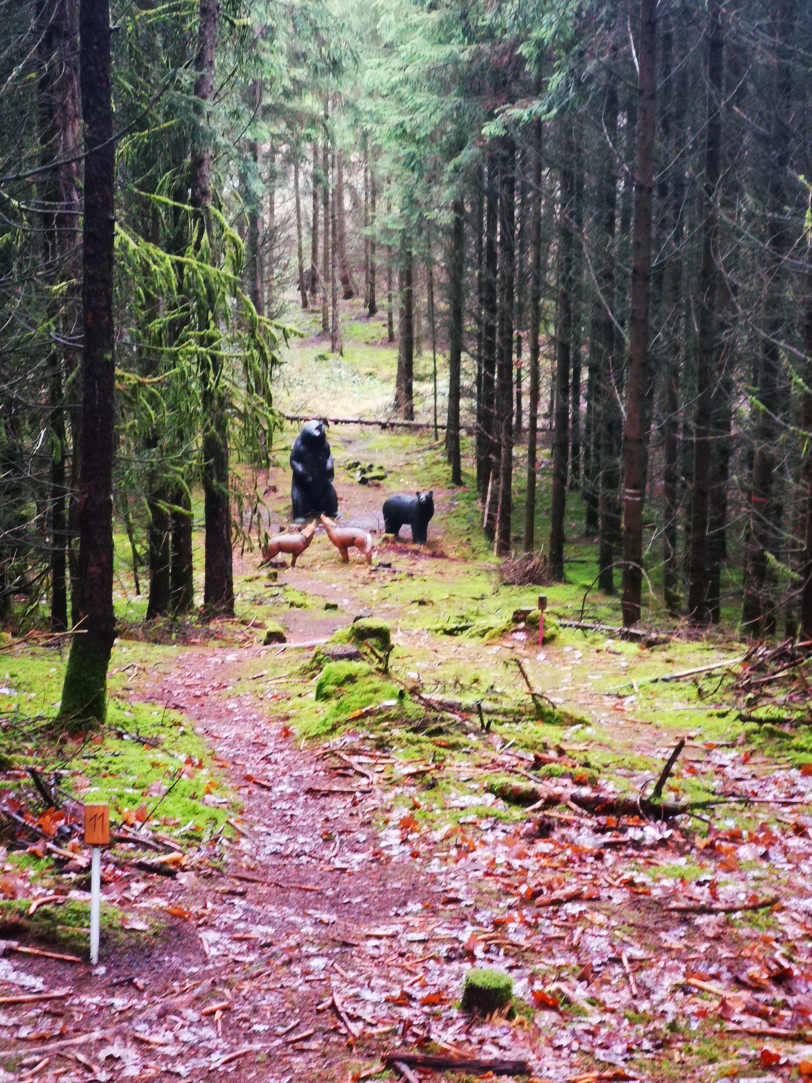 3D archery course - Thuringia - Schöner schuss - Longlife 3d-Parcours