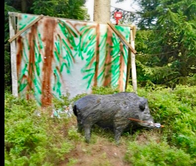3D Parcour Bogenschießen: Bogenpfad Am Rennsteig