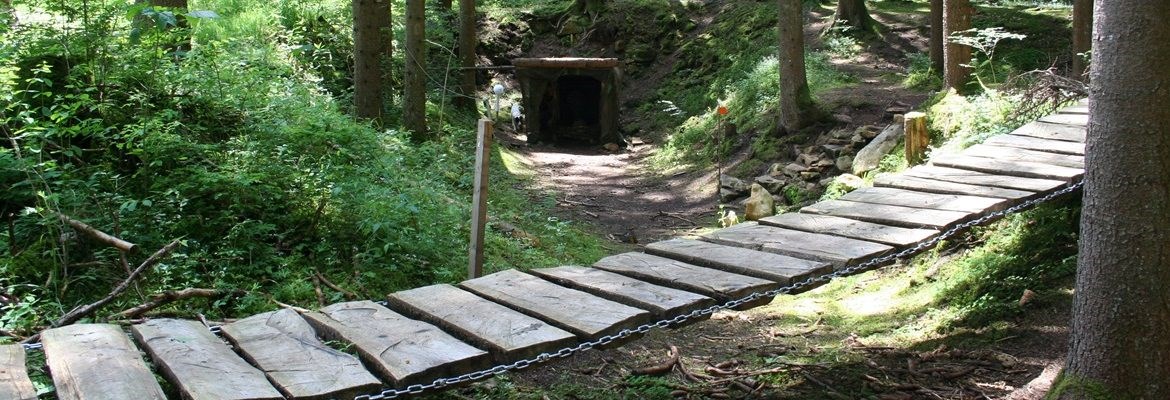  Der Waldläufer Different courses Hochwald Tour