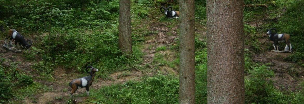  Der Waldläufer Different courses Gamshorn Trail