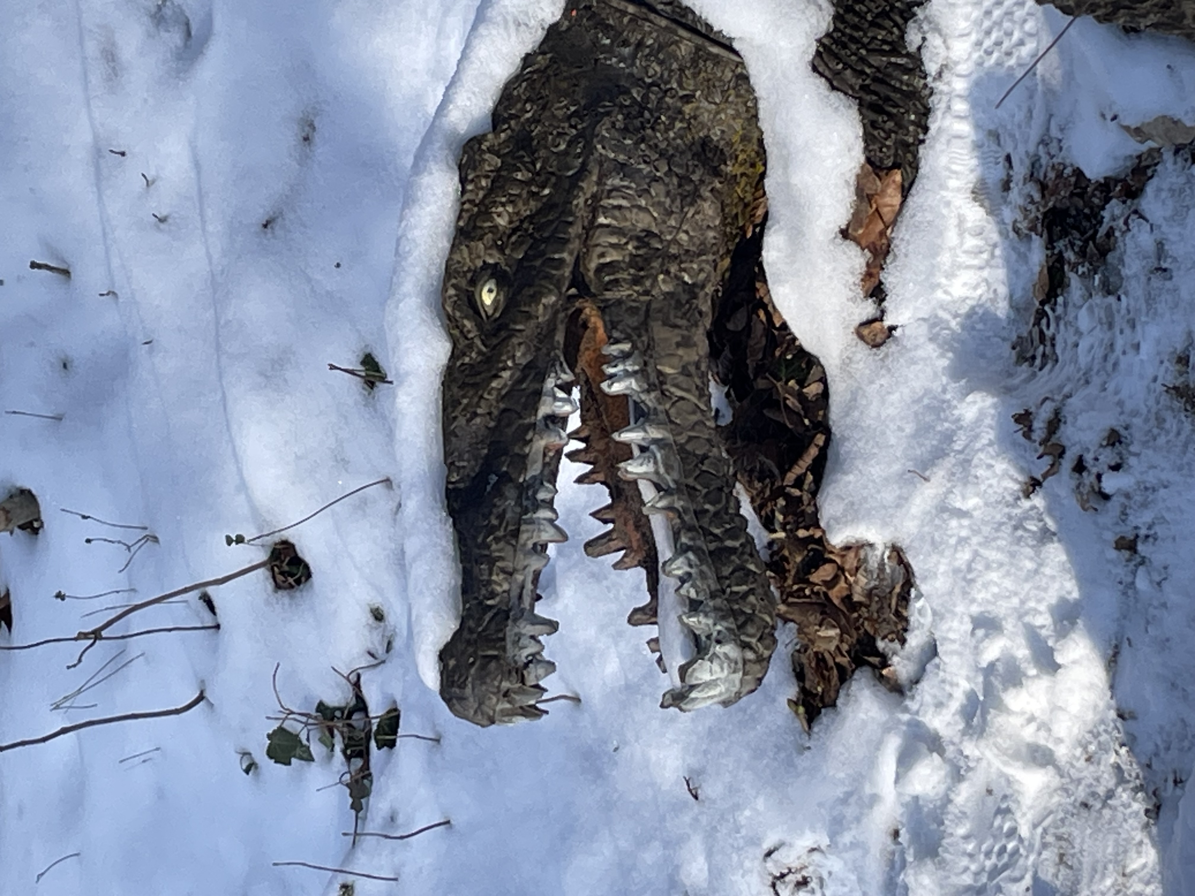 3D Parcour Bogenschießen: Altmühl Bogensport Club