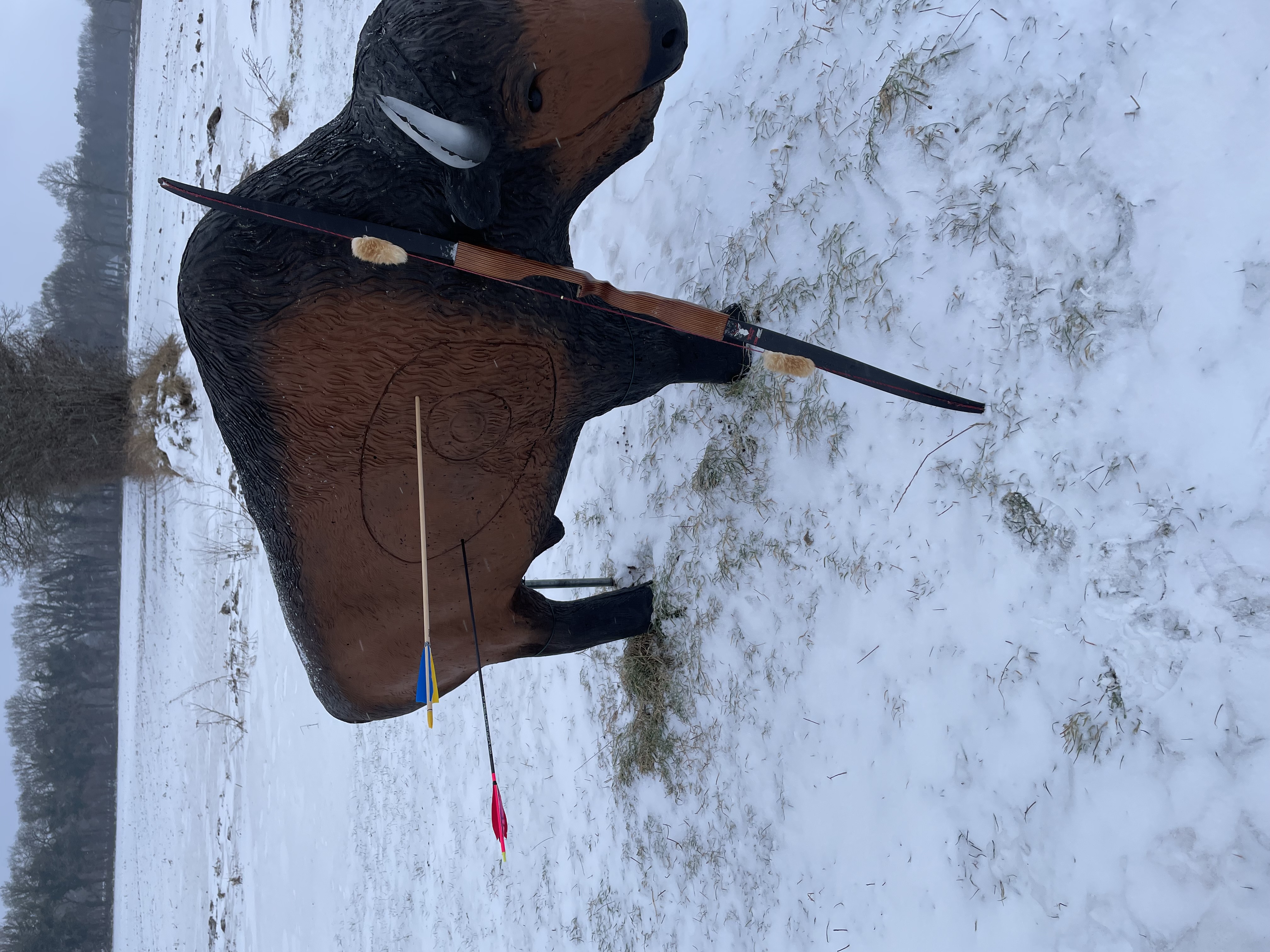 3D Parcour Bogenschießen: Bison von Leitold - Altmühl Bogensport Club