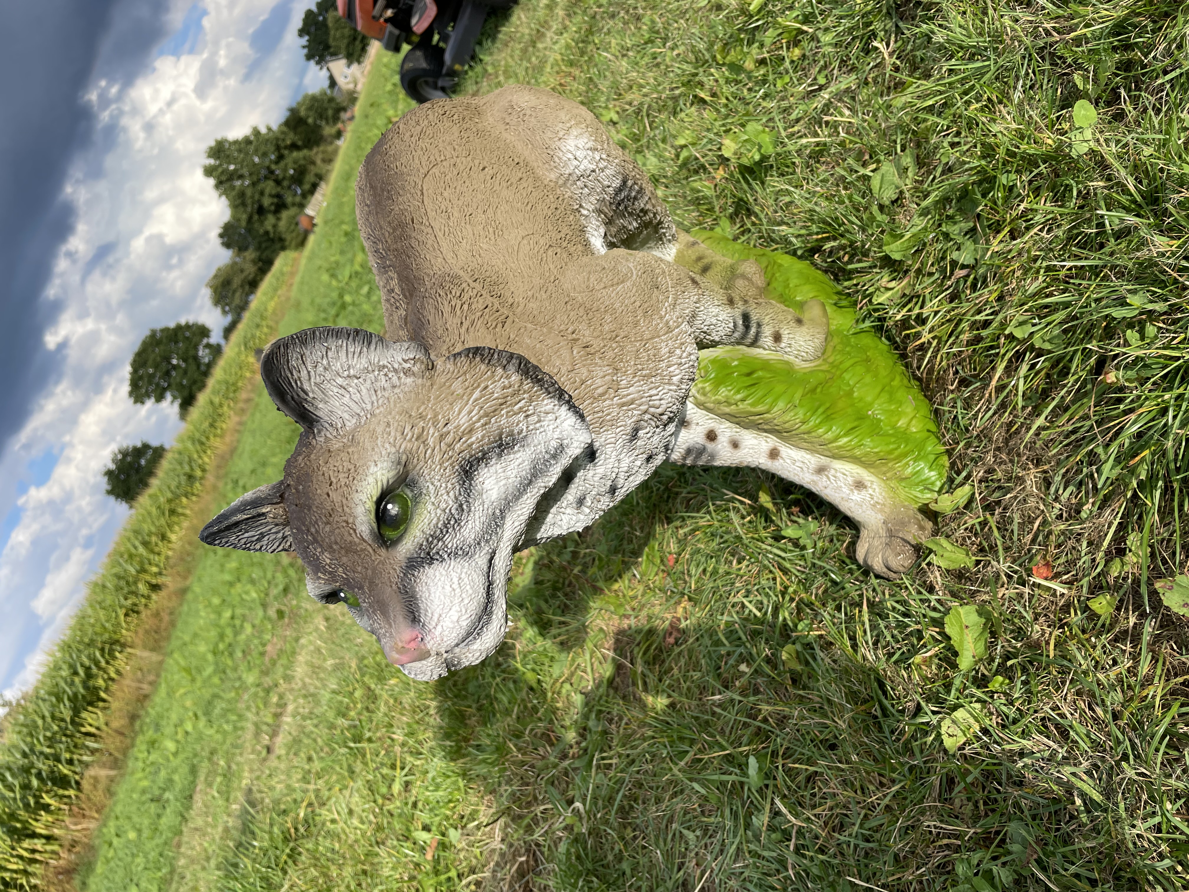 3D Parcour Bogenschießen: SRT Wildkatze - Altmühl Bogensport Club
