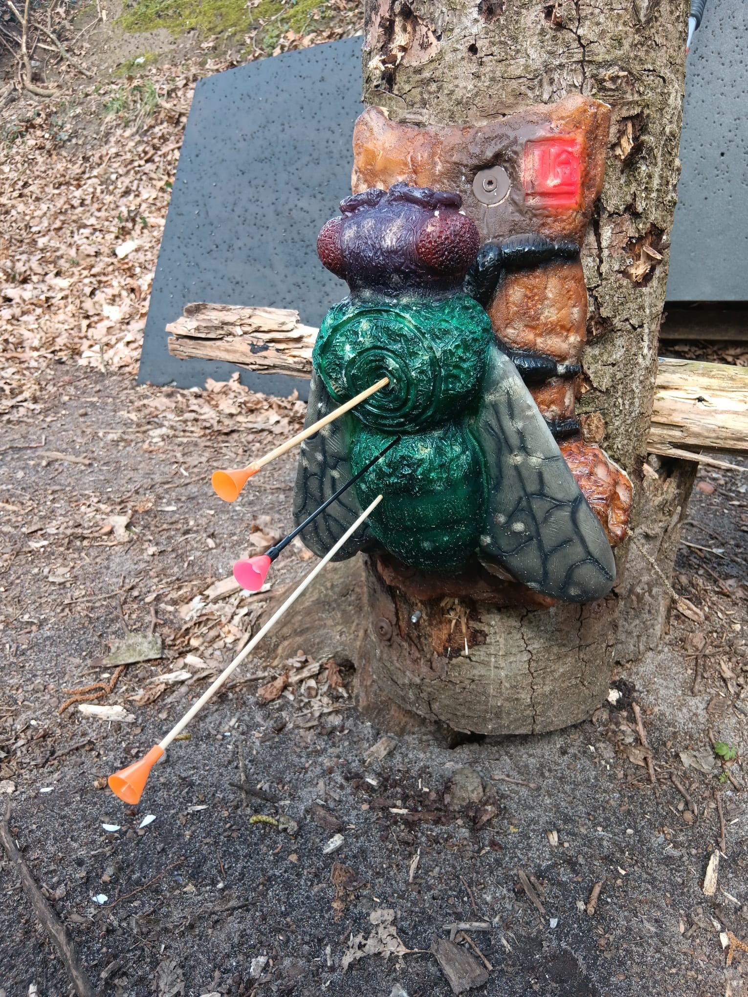 3D Parcour Bogenschießen: Neue Fliege von InForm3D - Altmühl Bogensport Club