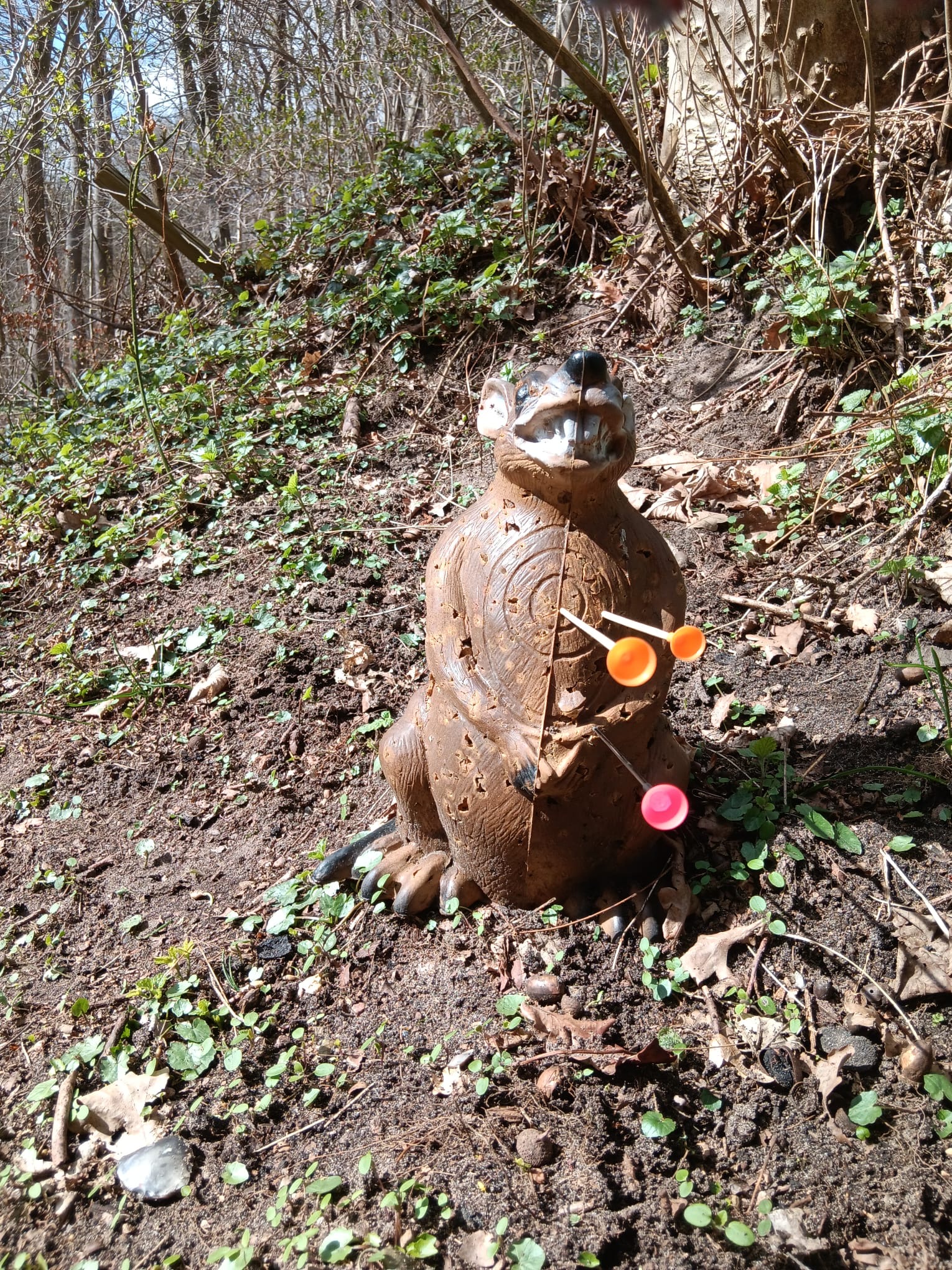 3D Parcour Bogenschießen: Seit April 26 auch für Blasrohr geöffnet - Altmühl Bogensport Club