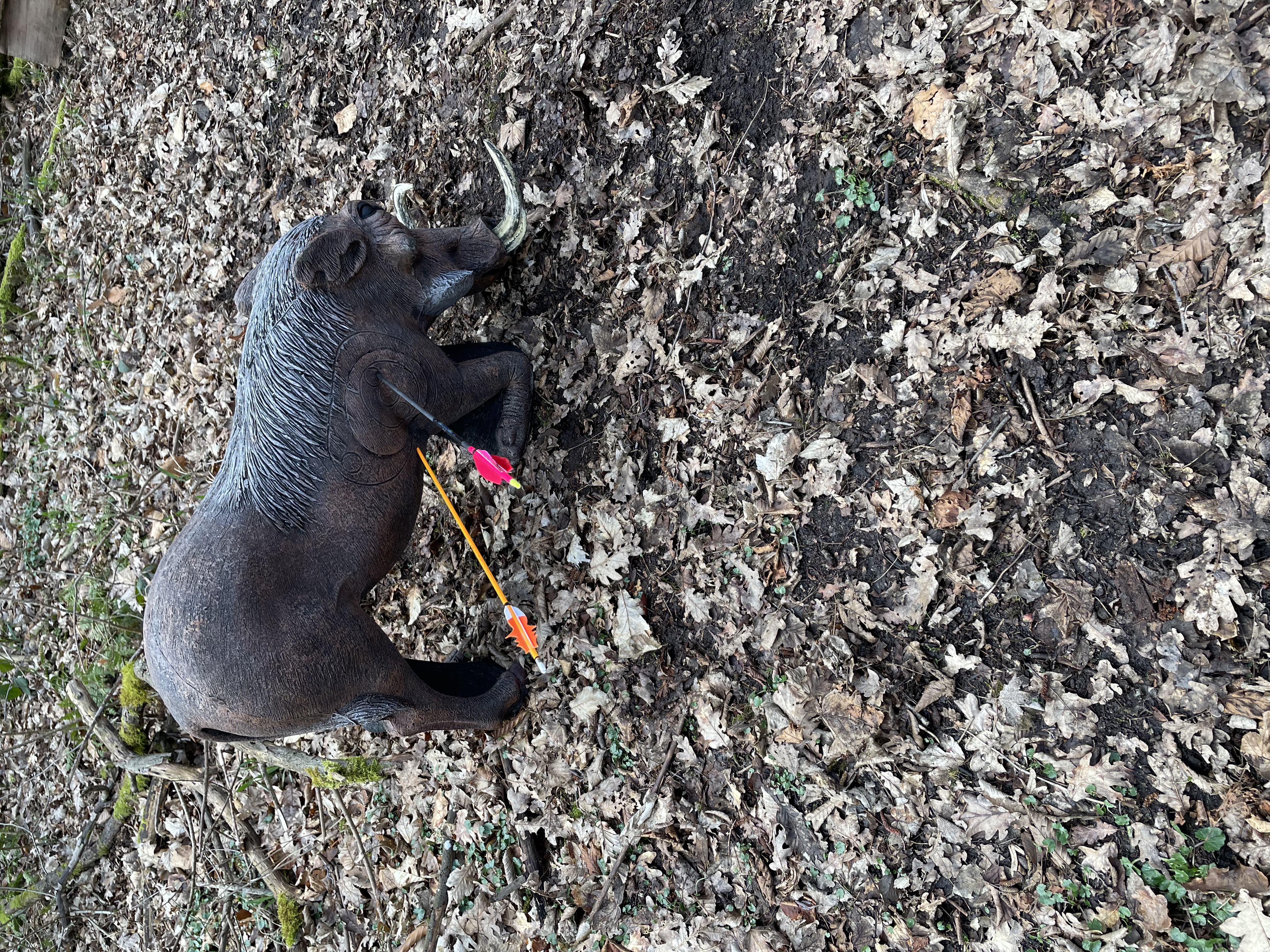 3D Parcour Bogenschießen: Altmühl Bogensport Club