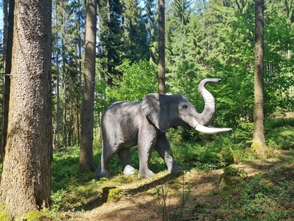 3D Parcour Bogensport - Marchtrenk - ASKÖ Bogensport St. Oswald b. Fr.