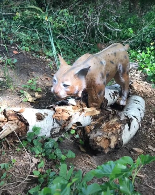 3D Parcour Bogensport - Verleihmaterial: mit Voranmeldung möglich - Aller-Bogen Westen