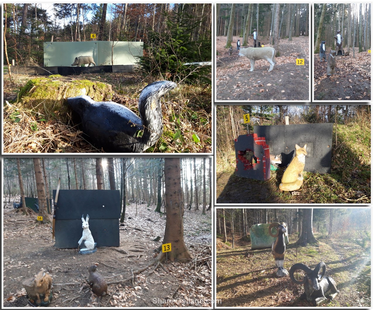 BC Laudachtal Unterschiedliche Parcours BC Laudachtal