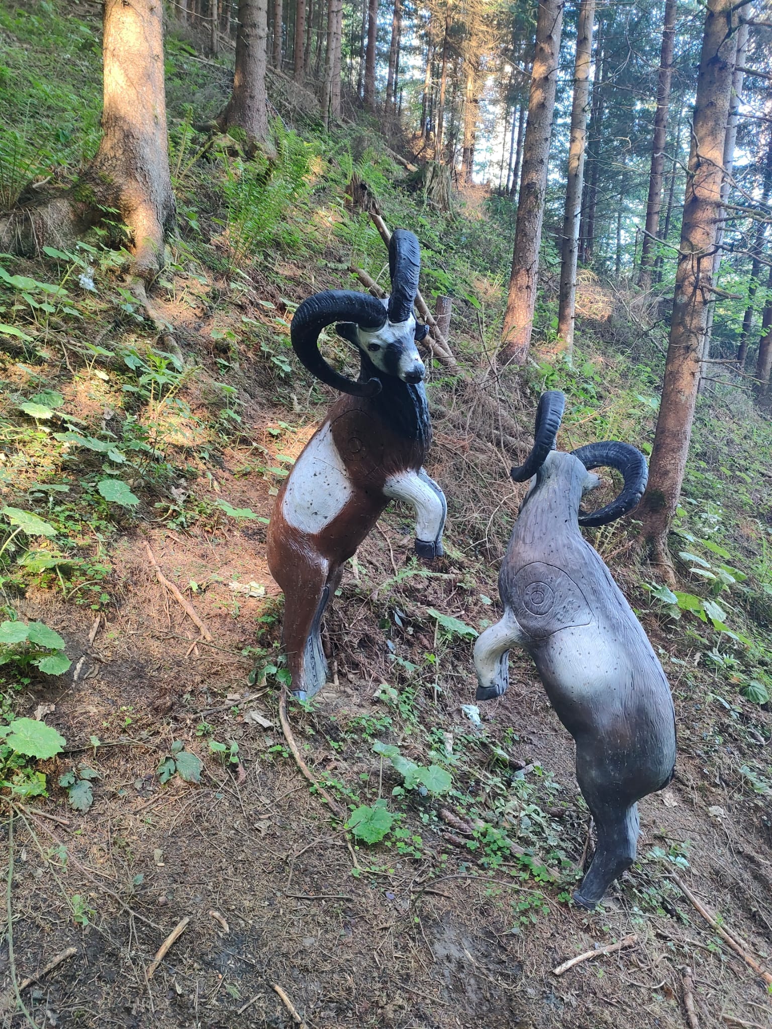 3D Parcour Bogensport - Bogenhalle - EAT Bogensport Verein - 3D Parcours