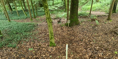 3D Parcour Bogensport - Grensberg - BSC- Strudengau