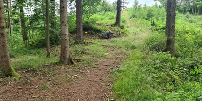 3D Parcour Bogensport - Grensberg - BSC- Strudengau