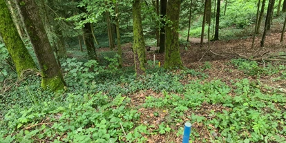 3D Parcour Bogensport - Grensberg - BSC- Strudengau