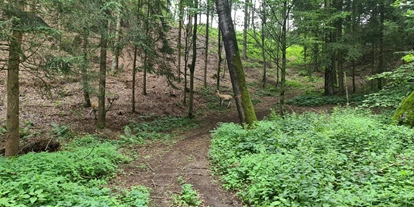 3D Parcour Bogensport - Grensberg - BSC- Strudengau