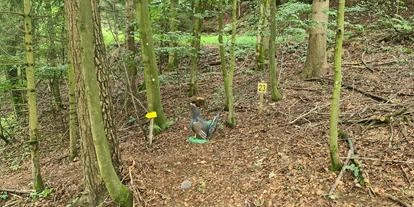 3D Parcour Bogensport - Grensberg - BSC- Strudengau
