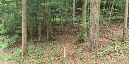 3D Parcour Bogensport - Grensberg - BSC- Strudengau