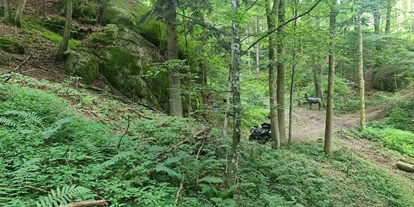 3D Parcour Bogensport - Grensberg - BSC- Strudengau