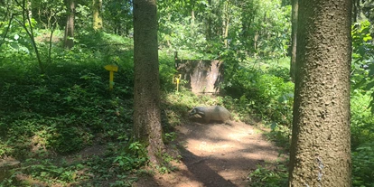 3D Parcour Bogensport - Grensberg - BSC- Strudengau
