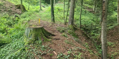 3D Parcour Bogensport - Grensberg - Stay Wild  Parcours Ziel 16 - BSC- Strudengau