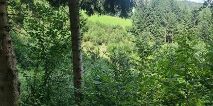 3D Parcour Bogensport - Grensberg - Stay Wild  Parcours Ziel 10 & 11 - BSC- Strudengau