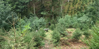 3D Parcour Bogensport - Grensberg - Stay Wild  Parcours Ziel 13&14 - BSC- Strudengau