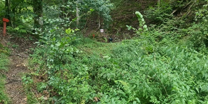 3D Parcour Bogensport - Grensberg - Stay Wild  Parcours Ziel 15 - BSC- Strudengau