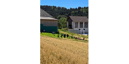 3D Parcour Bogensport - Grensberg - BSG Nöchling
