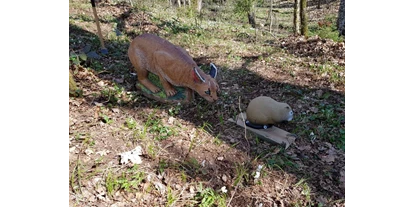 3D Parcour Bogensport - Grensberg - BSG Nöchling