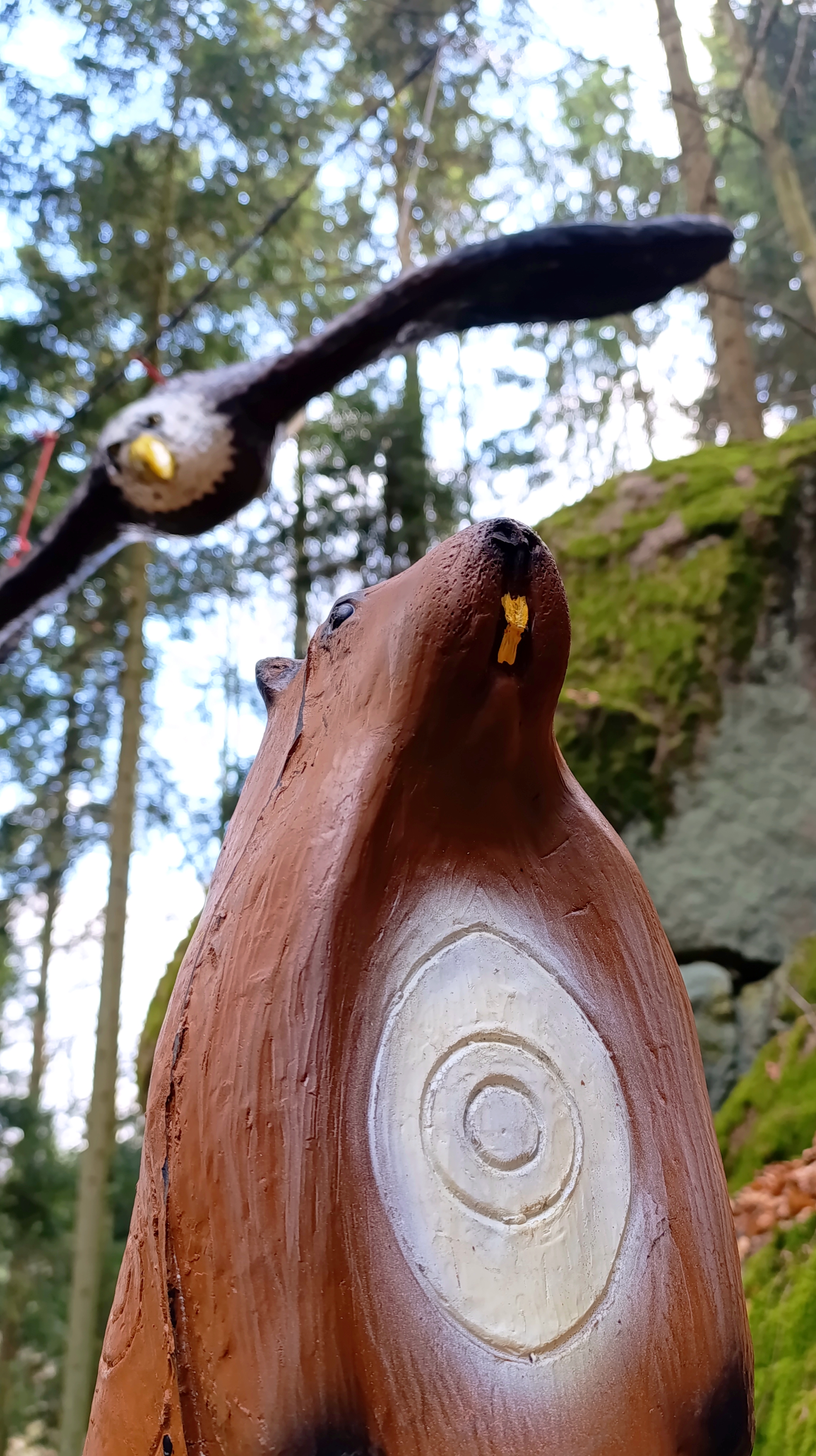3D Parcour Bogenschießen: BSV Peilstein "Am Hochgattern"