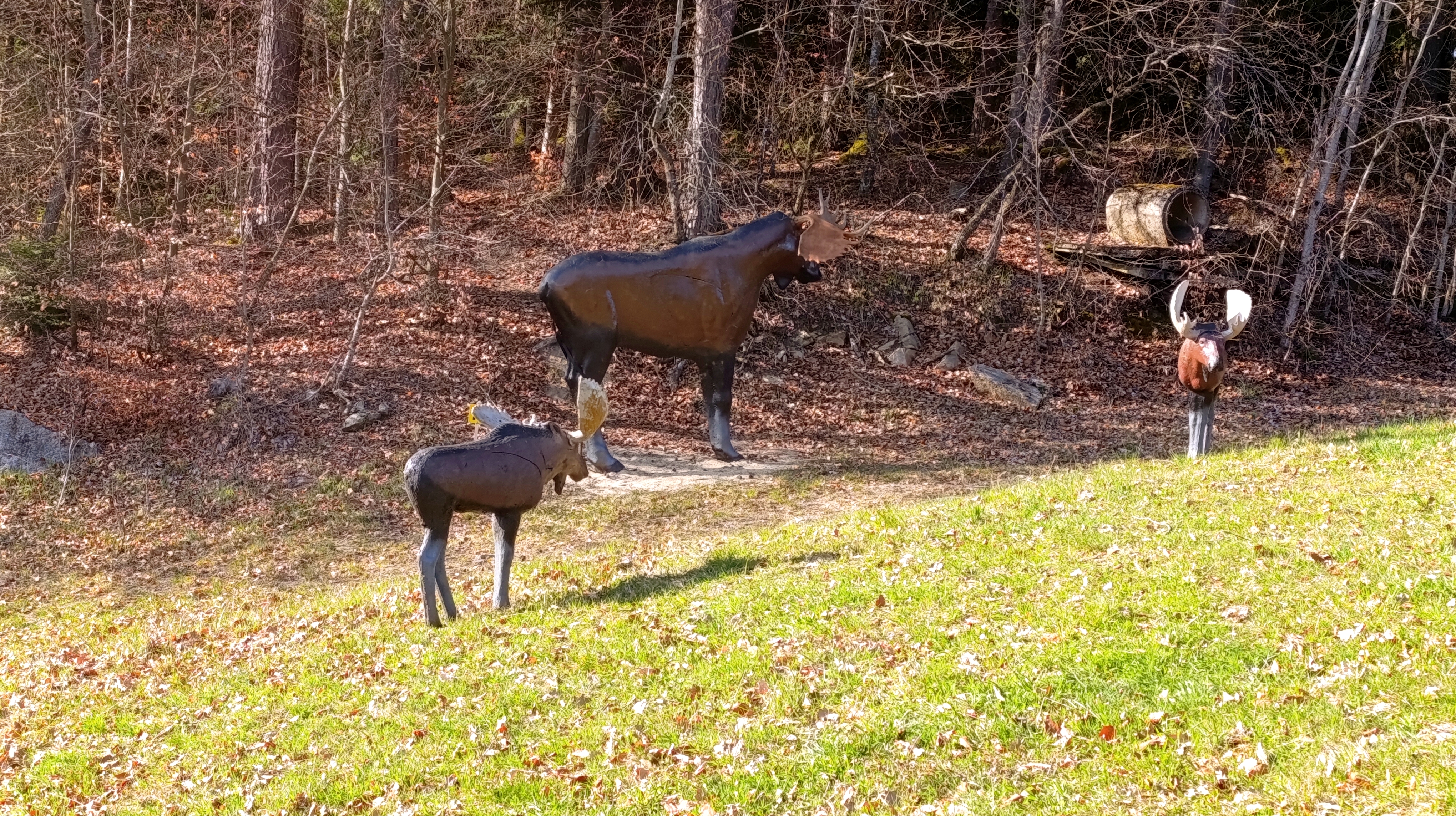 3D Parcour Bogenschießen: BSV Peilstein "Am Hochgattern"