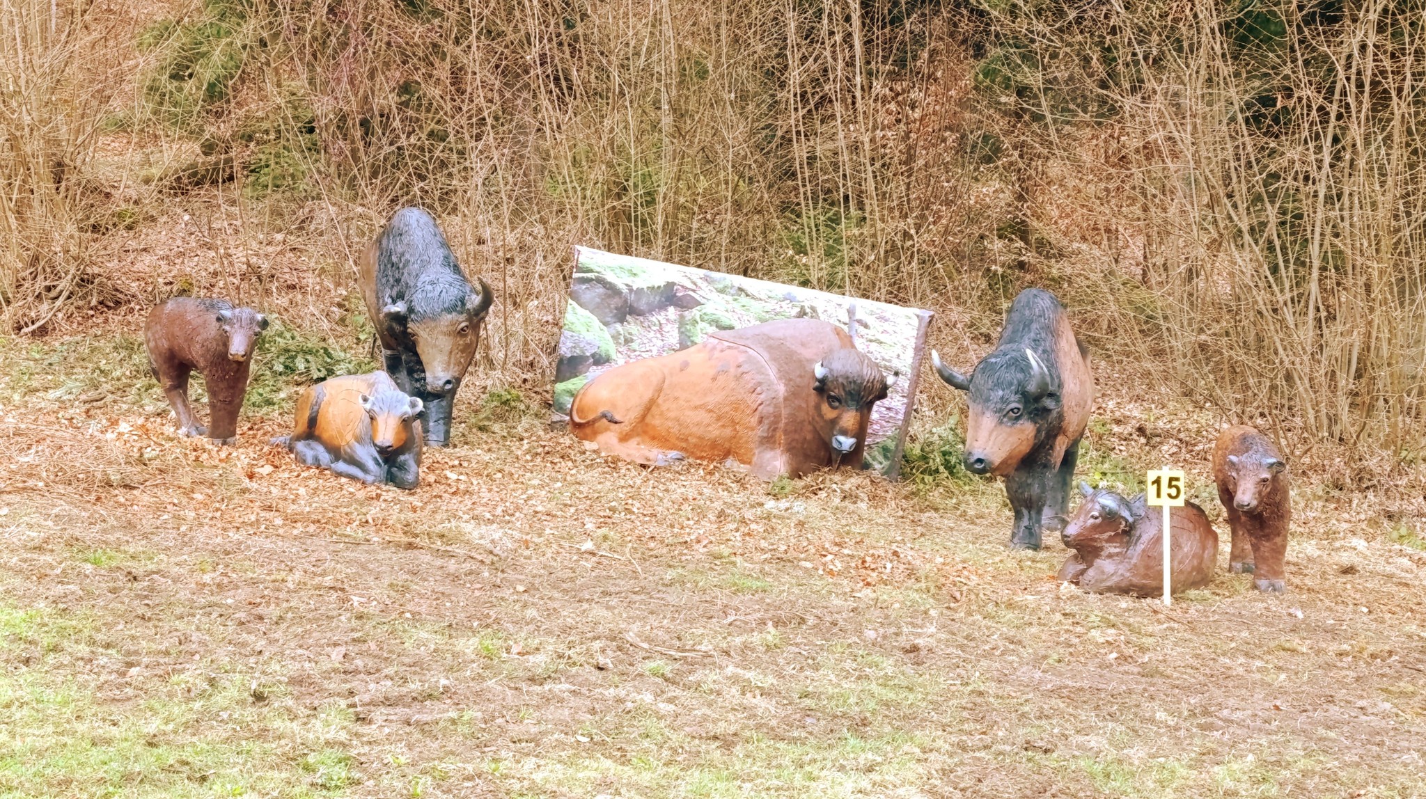3D Parcour Bogenschießen: BSV Peilstein "Am Hochgattern"