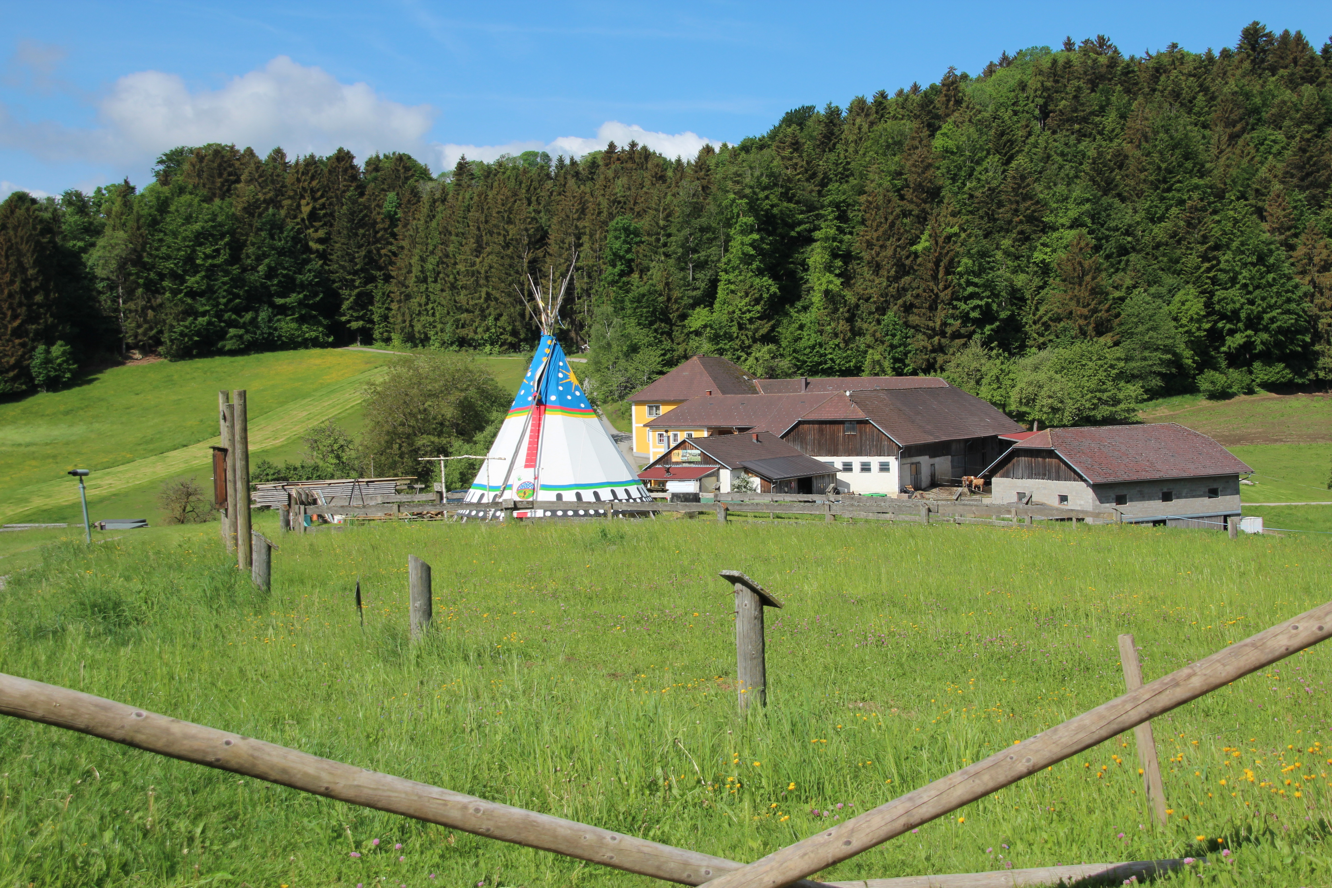 3D Parcour Bogensport - Bogenhalle - Ausgangspunkt der Bauernhof der Familie Lindorfer. - BSV Peilstein "Am Hochgattern"