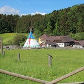 3D - Parcour: Ausgangspunkt der Bauernhof der Familie Lindorfer. - BSV Peilstein "Am Hochgattern"