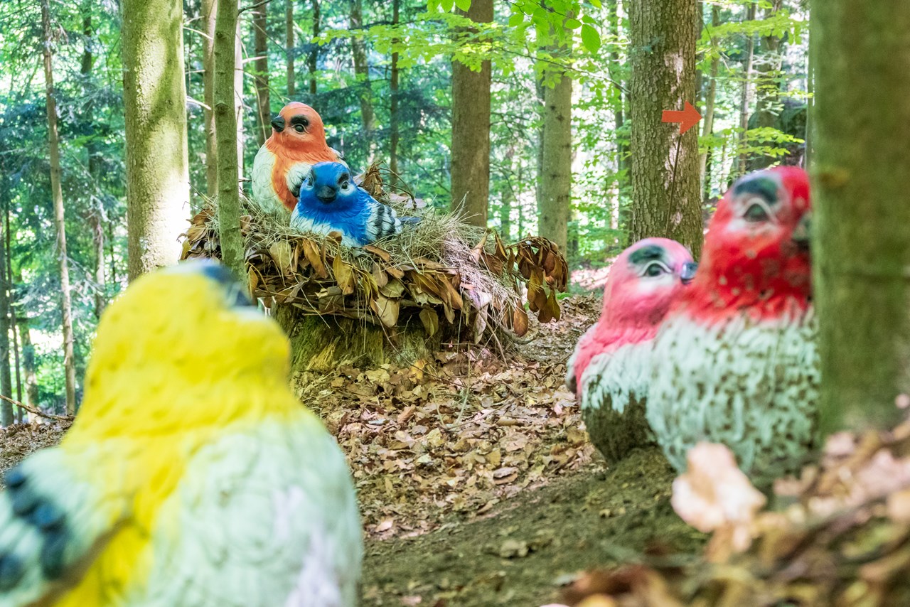 BSV Peilstein "Am Hochgattern" Unterschiedliche Parcours Runde 2