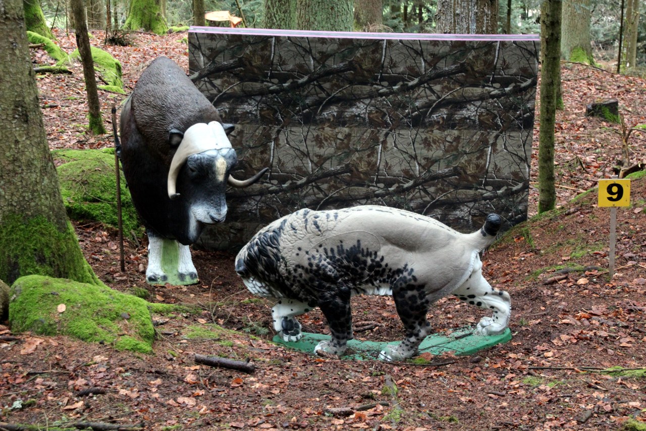 BSV Peilstein "Am Hochgattern" Different courses Round 1