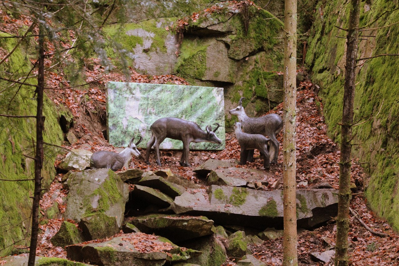 BSV Peilstein "Am Hochgattern" Different courses Round 2