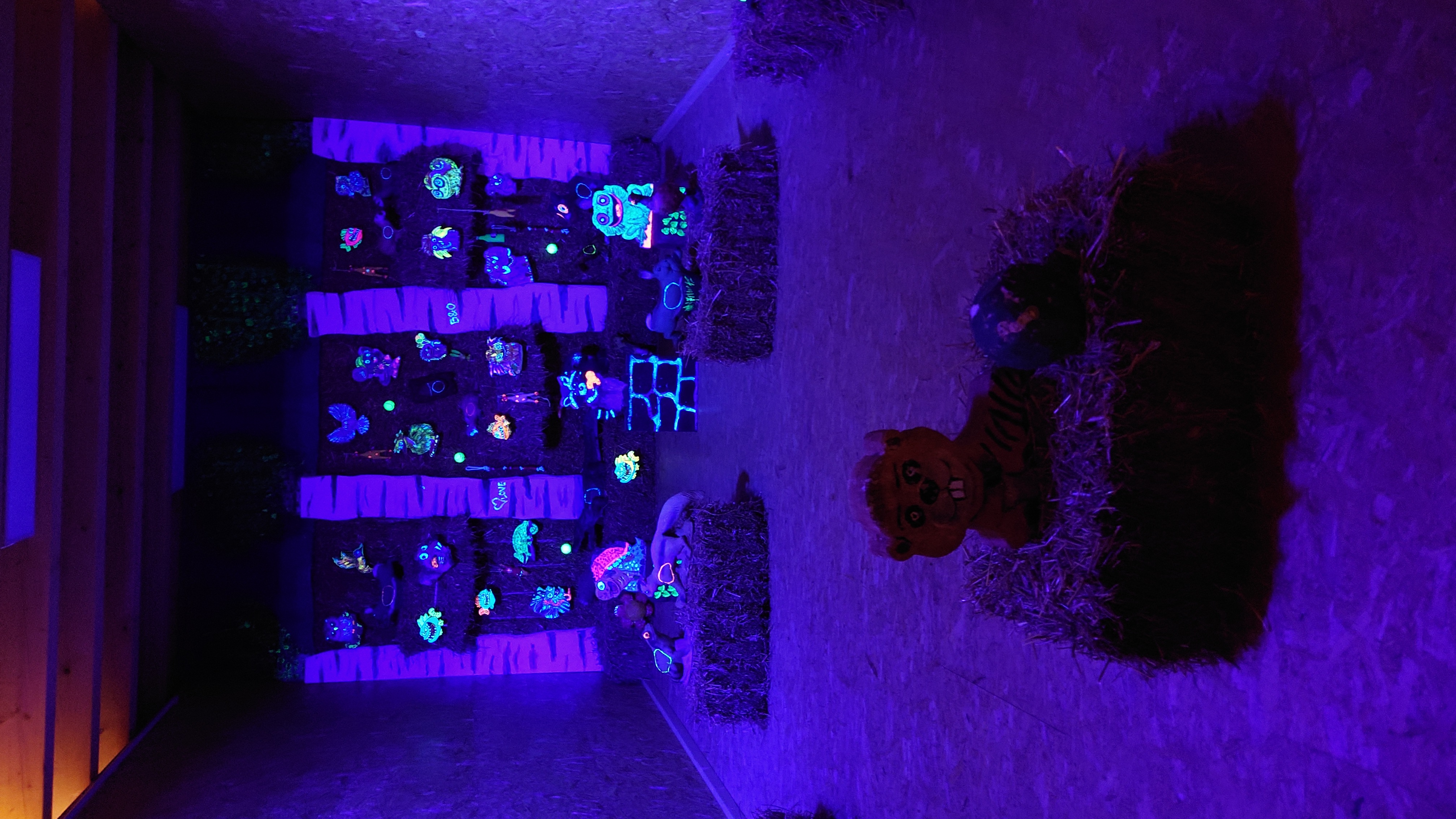 3D archery course - Eigeltingen - Spotraum im Schwarzlicht Bogenschießen - B & O Bogenschiessen