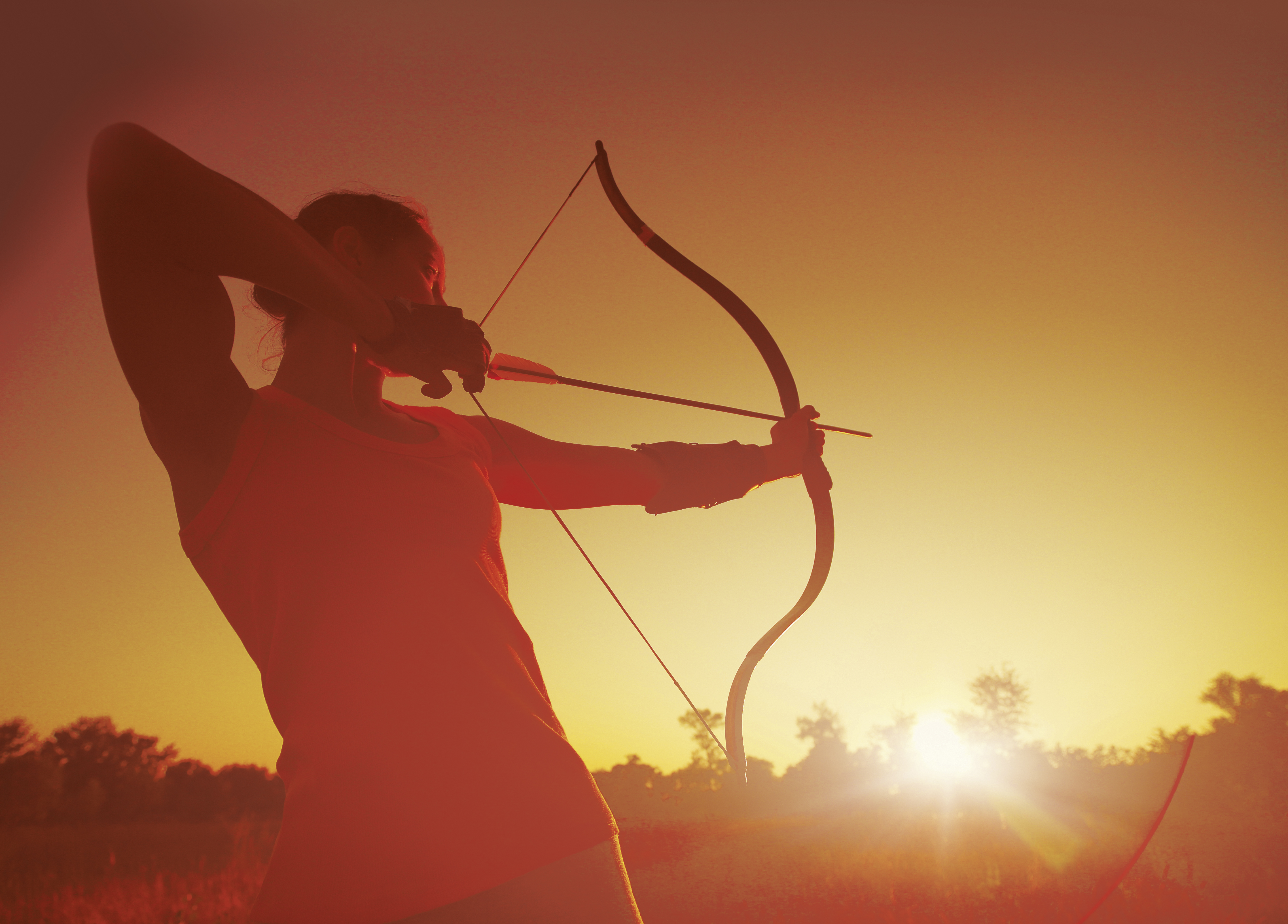 3D Parcour Bogensport - Österreich - Ashs Archery