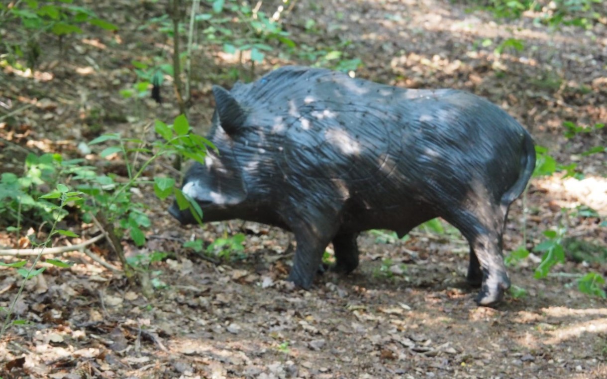 3D archery course - Gräfendorf - SV Edelweiß Hettenhausen