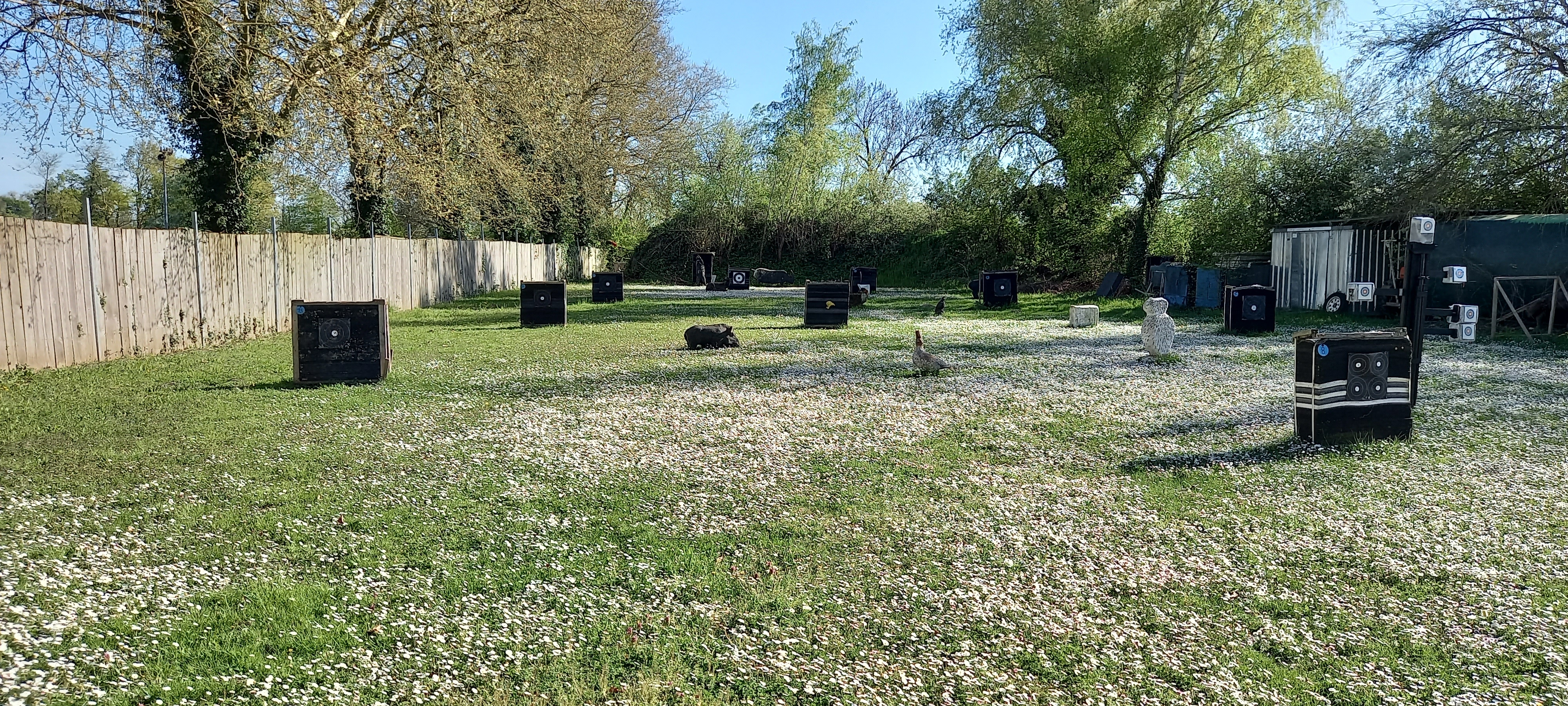 3D Parcour Bogenschießen: Einschießplatz - Bärlauchjager Hördt