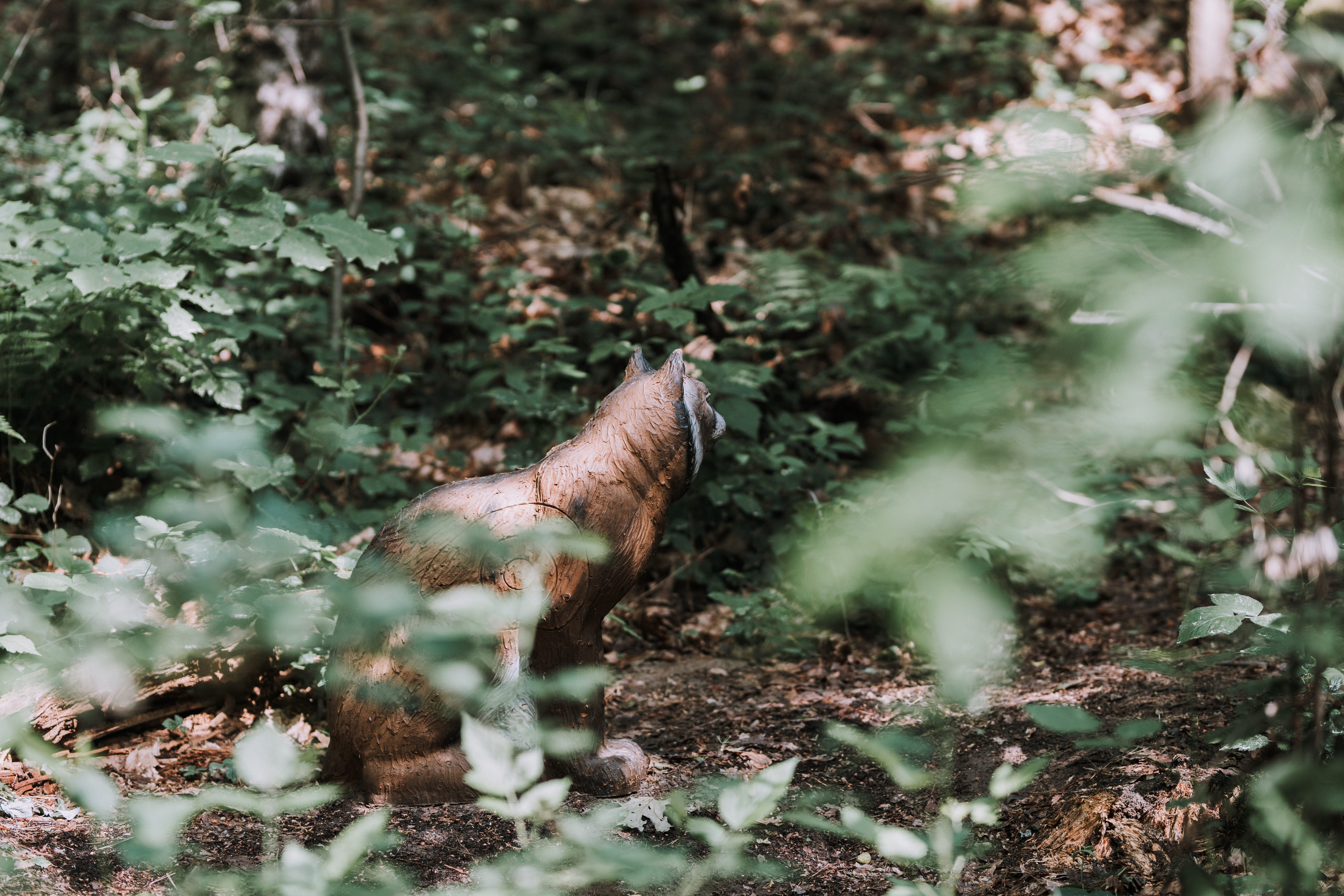 3D Parcour Bogensport - Nordrhein-Westfalen - Abenteuer Bogenschießen Gütersloh