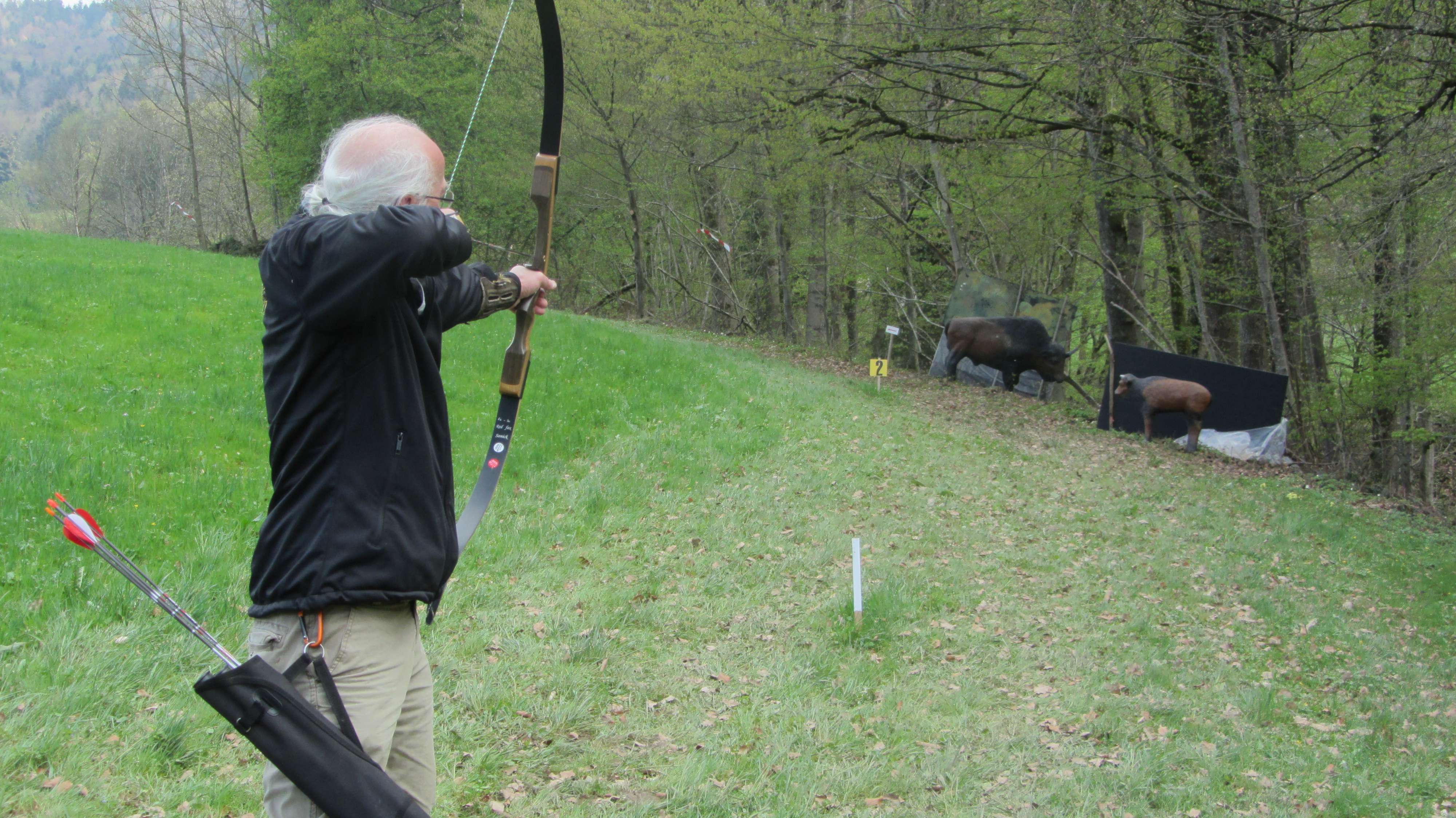 3D Parcour Bogenschießen: Das kleine oder das große Bison? - Club 3-D Austria Bogensport HSV Wals