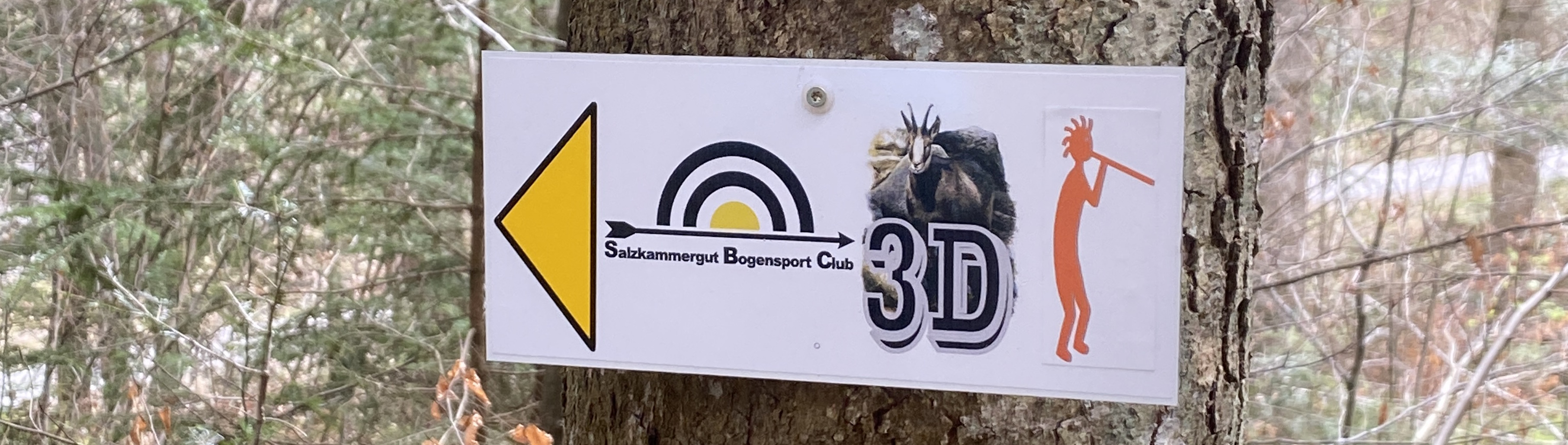 3D Parcour Bogensport - Zloam - Grundlsee - Salzkammergut  Bogensportclub