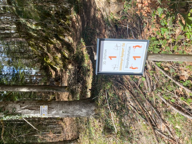 3D Parcour Bogensport - Zloam - Grundlsee - Salzkammergut  Bogensportclub