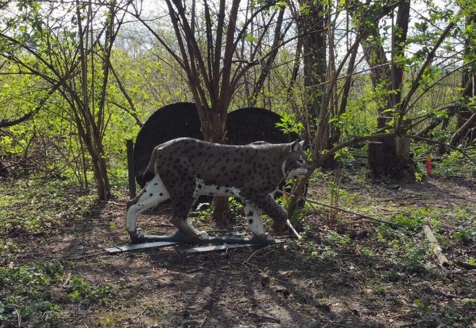 3D Parcour Bogenschießen: BSC Nordkirchen e.V