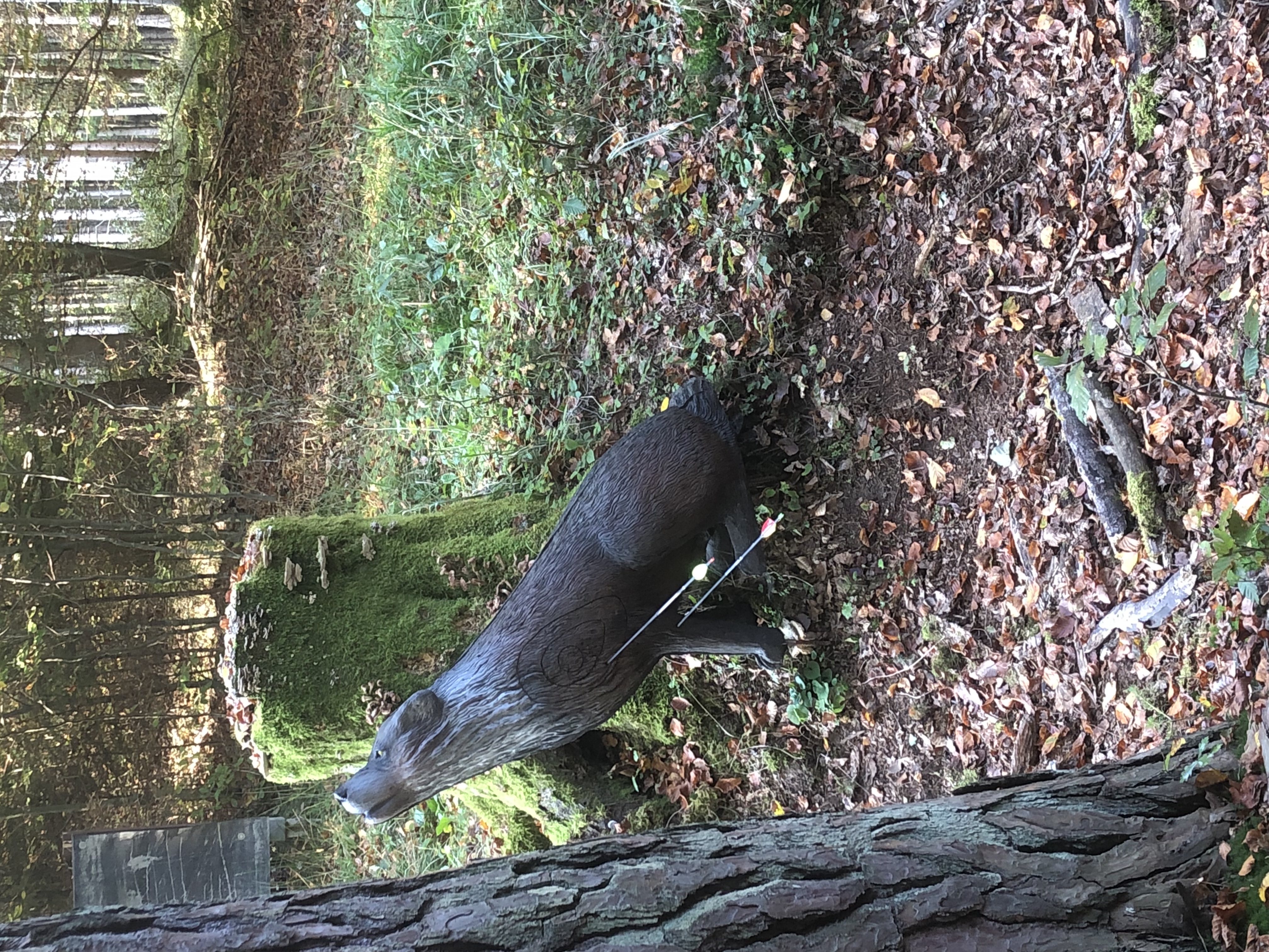 3D Parcour Bogenschießen: BS Foberl 3D Parcours