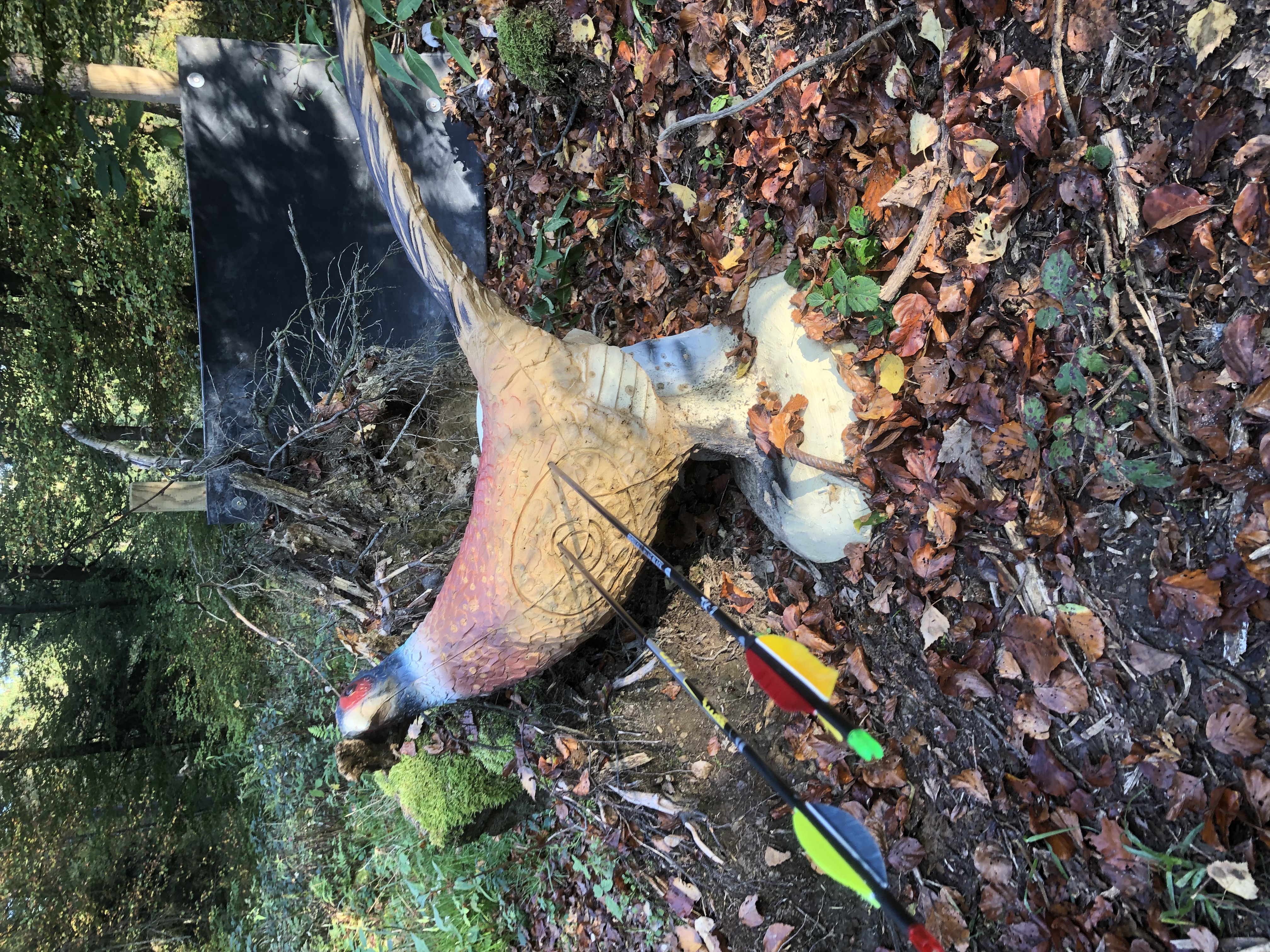 3D Parcour Bogenschießen: BS Foberl 3D Parcours