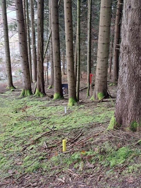 3D Parcour Bogenschießen: BS Foberl 3D Parcours