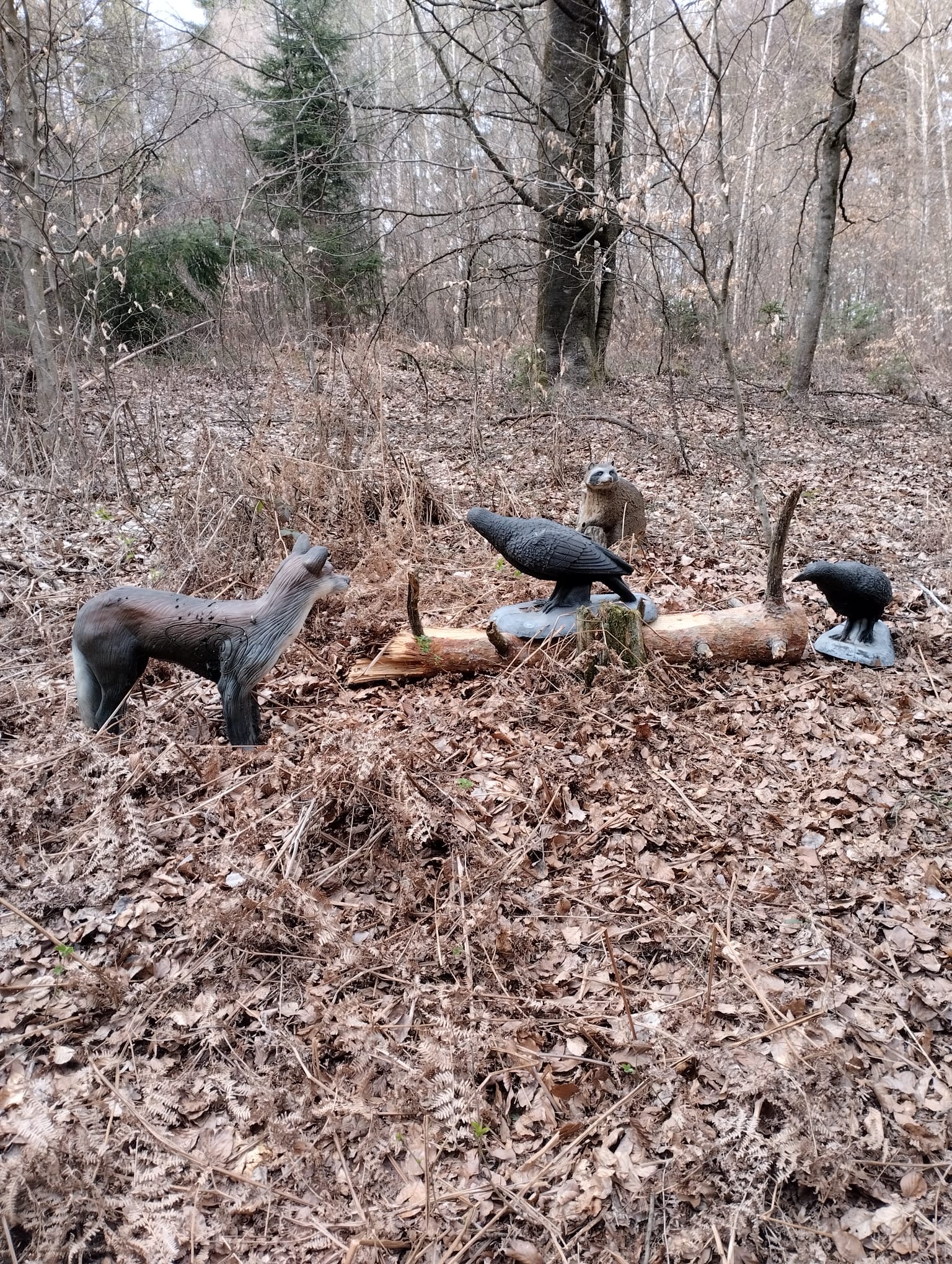 3D Parcour Bogenschießen: Umbau 2026 - BS Foberl 3D Parcours