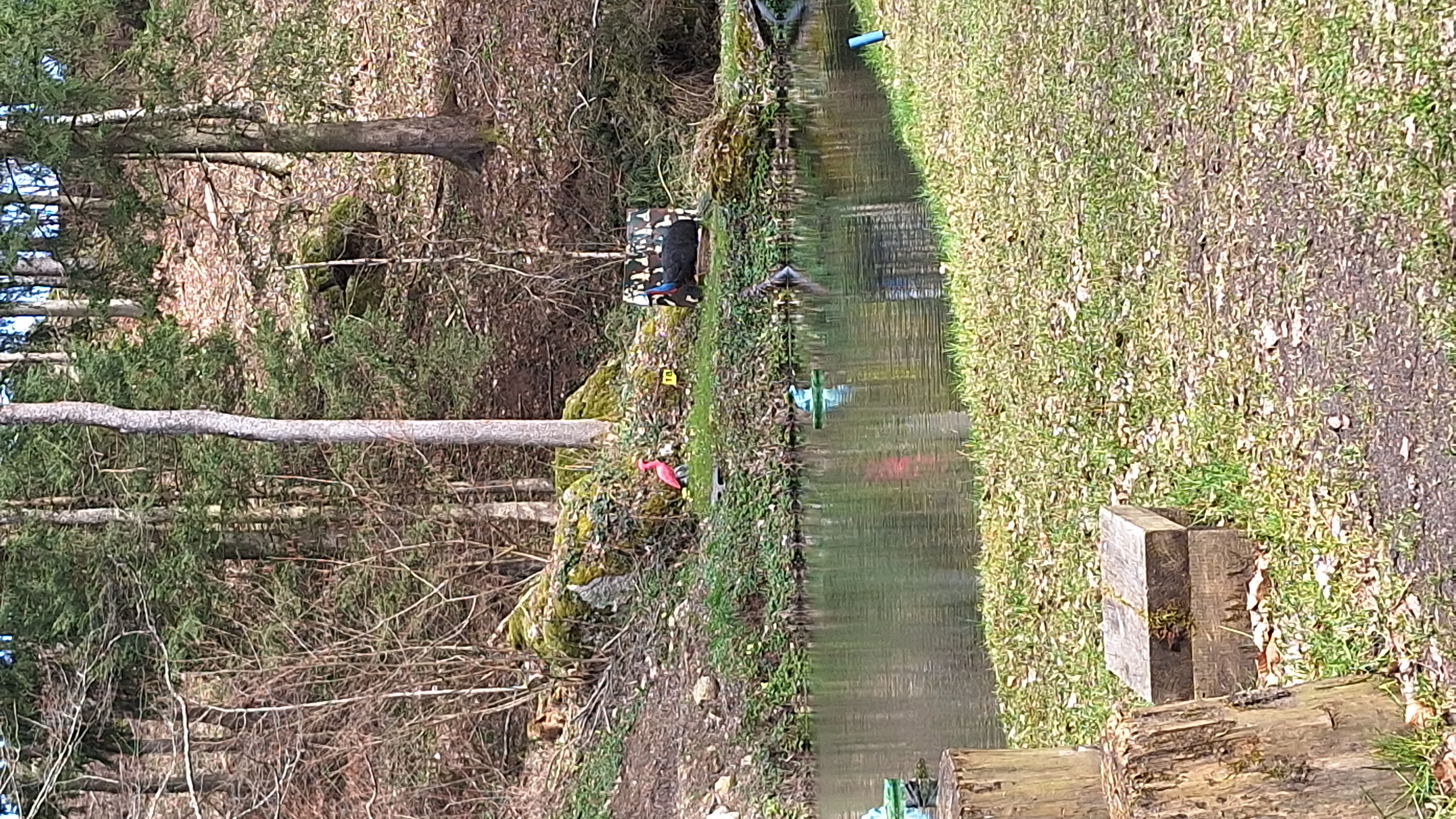 3D Parcour Bogensport - Bogensportverein Hiaslbauer